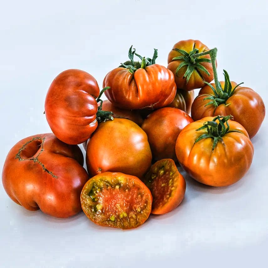 Насіння помідорів Тера Кота Торбурна — купити з доставкою по Україні