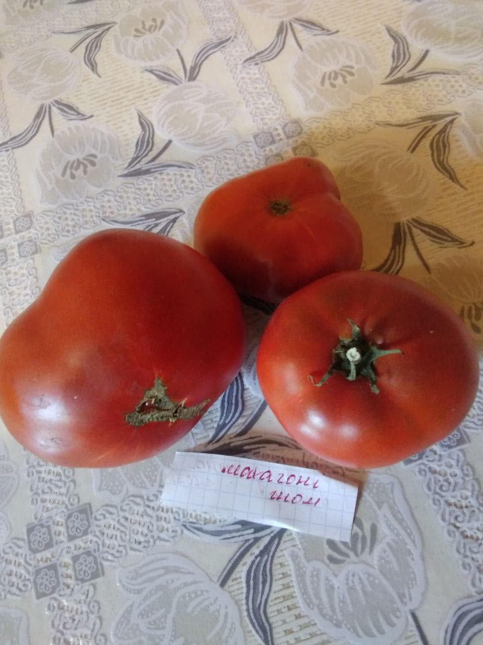 Насіння помідорів Махогані