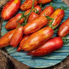 Насіння помідорів Безумство кассаді — купити з доставкою по Україні