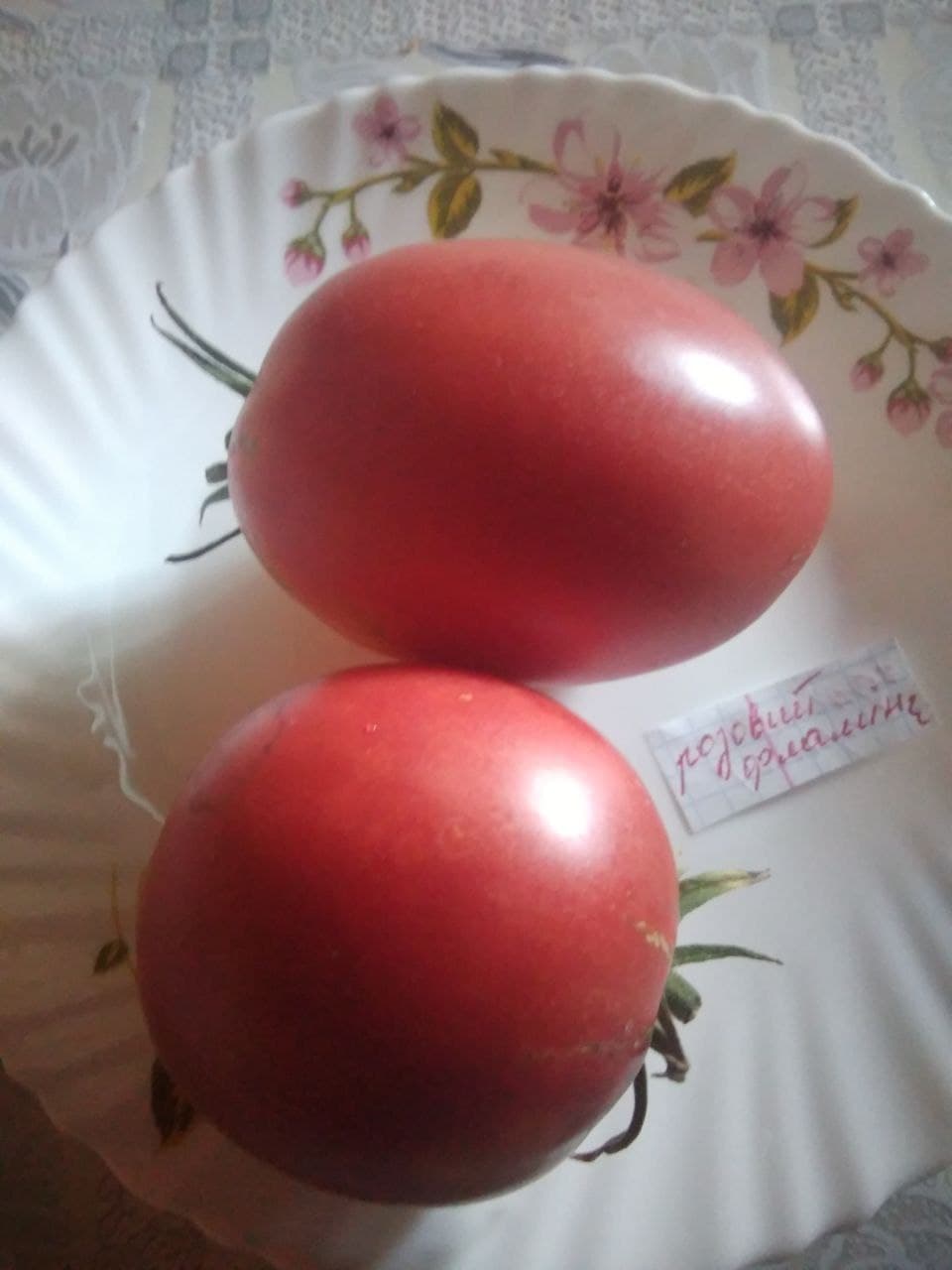 Насіння помідорів Рожевий фламінго