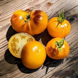 Насіння помідорів Шоколадний мармелад, фото 1