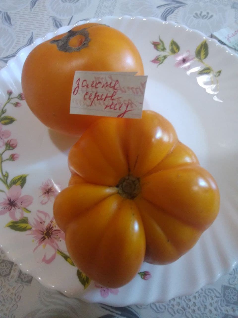 Насіння помідорів Золоте серце