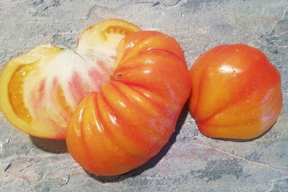 Насіння помідорів Медовий гребінь — купити з доставкою по Україні