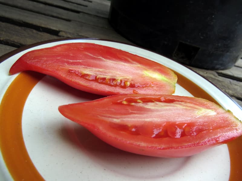 Насіння помідорів Стрілка