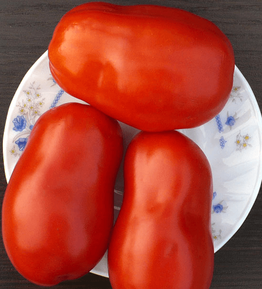 Насіння помідорів Гігантські італійські пасти — купити з доставкою по Україні