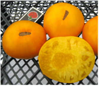 Втомлене сонце