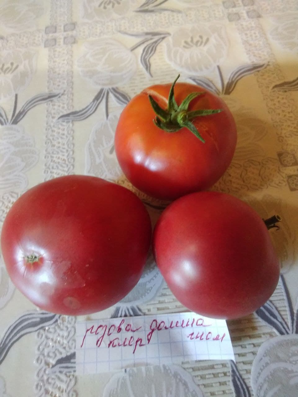 Насіння помідорів Рожева долина Клер