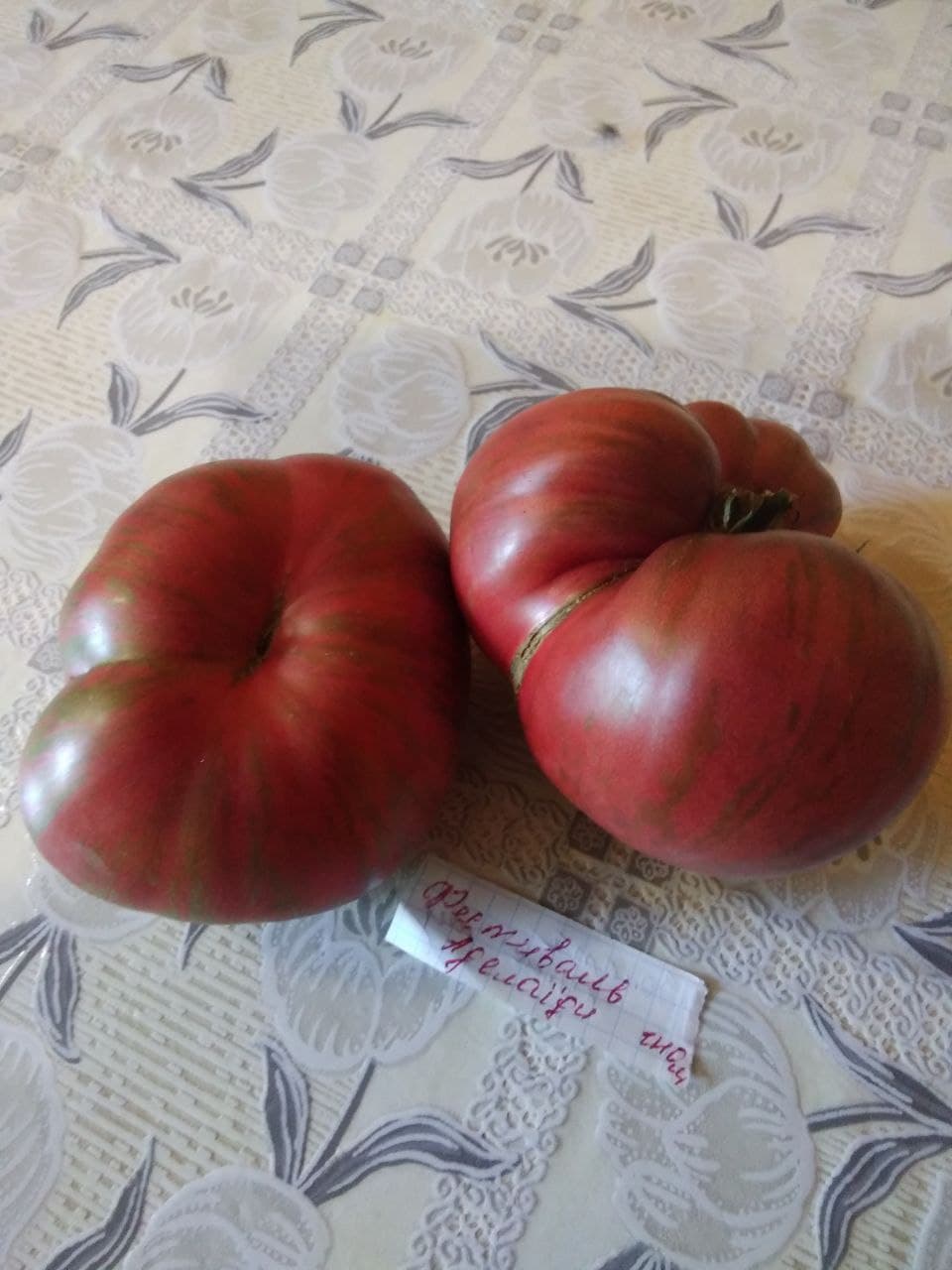 Насіння помідорів Фестиваль Аделаїди (гном) — купити з доставкою по Україні