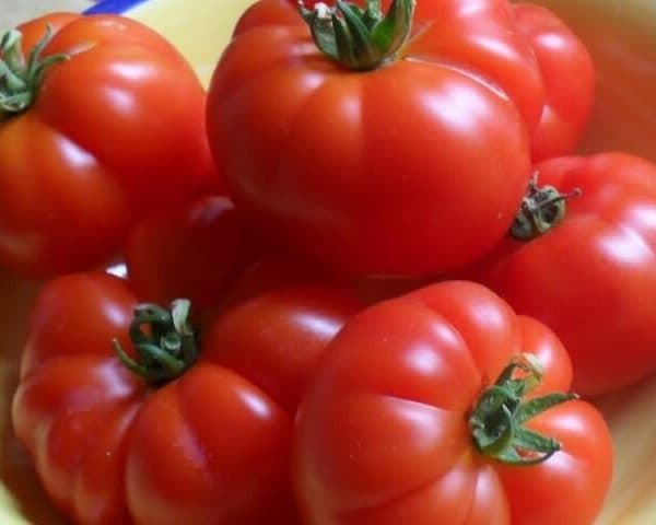 Насіння помідорів Мосерат Кабальє