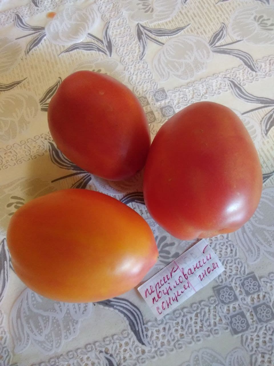 Насіння помідорів Персик поцілований сонцем (гном)